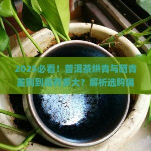 普洱茶烘青与晒青差别