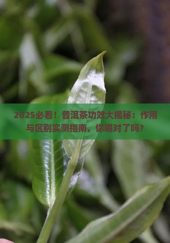 普洱茶作用和功效区别大吗