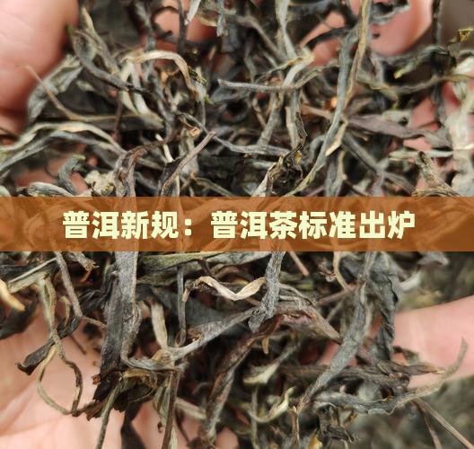 云南普洱茶新规定