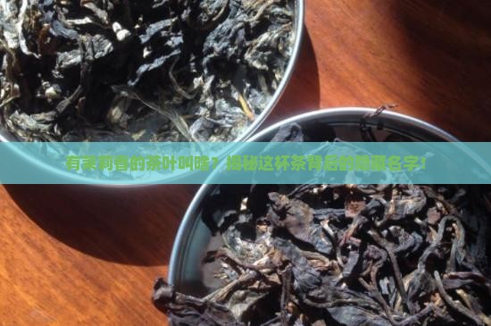 有茉莉香的茶叶叫啥