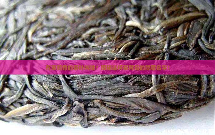 有茉莉香的茶叶叫啥