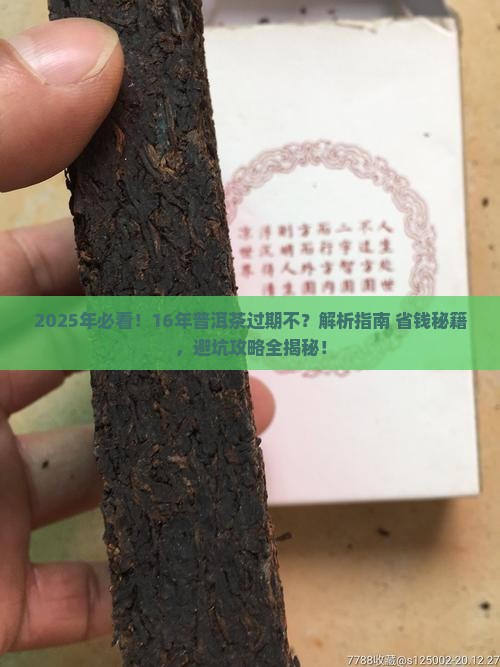 16年的普洱茶过期不