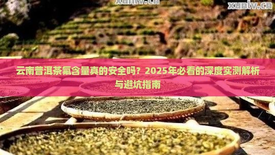 云南普洱茶氟含量研究