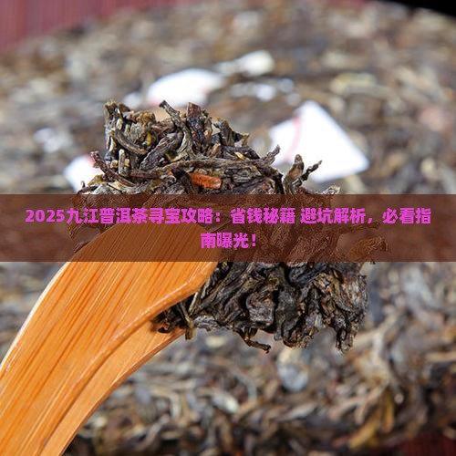 九江普洱茶批发零售点在哪里