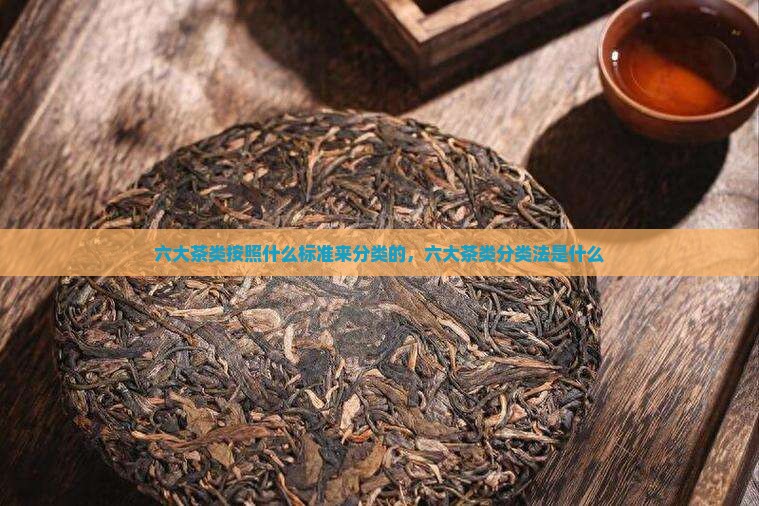六大茶类按照什么标准来分类