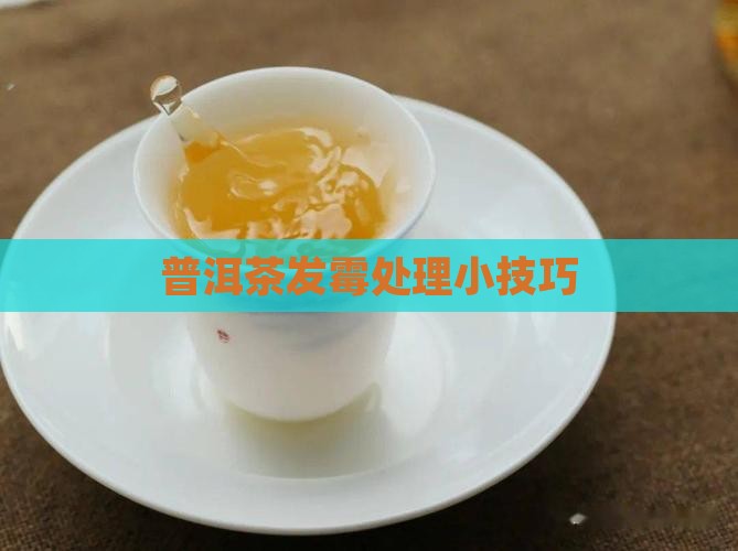 普洱茶发霉处理小技巧