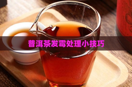 普洱茶发霉处理小技巧