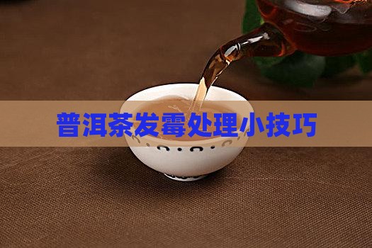 普洱茶发霉处理小技巧