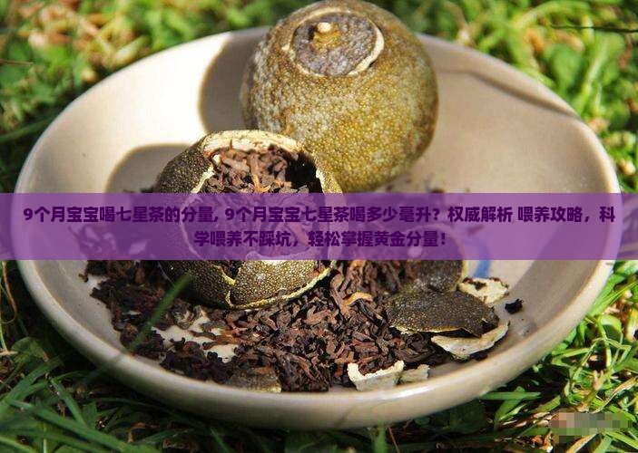 9个月宝宝喝七星茶的分量