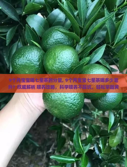 9个月宝宝喝七星茶的分量