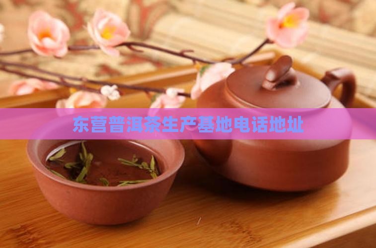 东营普洱茶生产基地电话