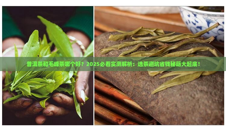 普洱茶和毛峰茶哪个好