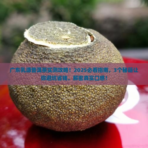 广东乳源普洱茶