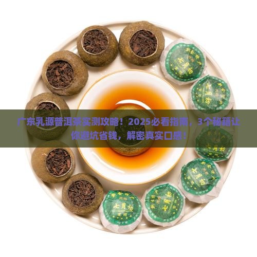 广东乳源普洱茶