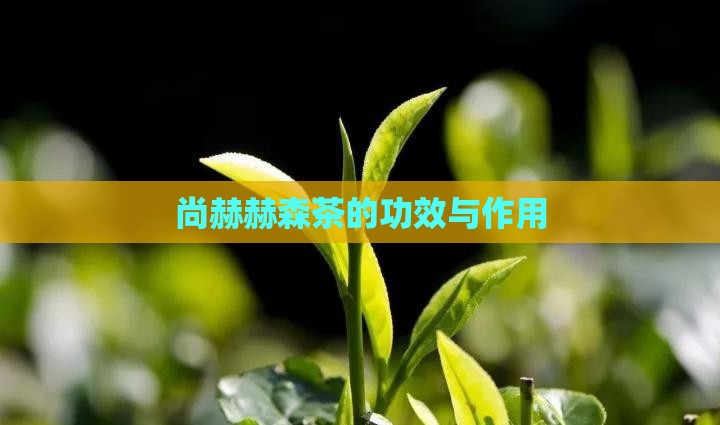 尚赫赫森茶的功效与作用