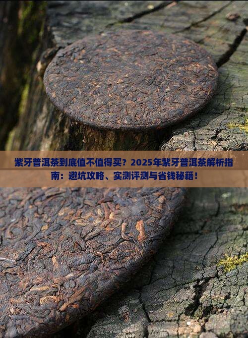紫牙普洱茶好不好