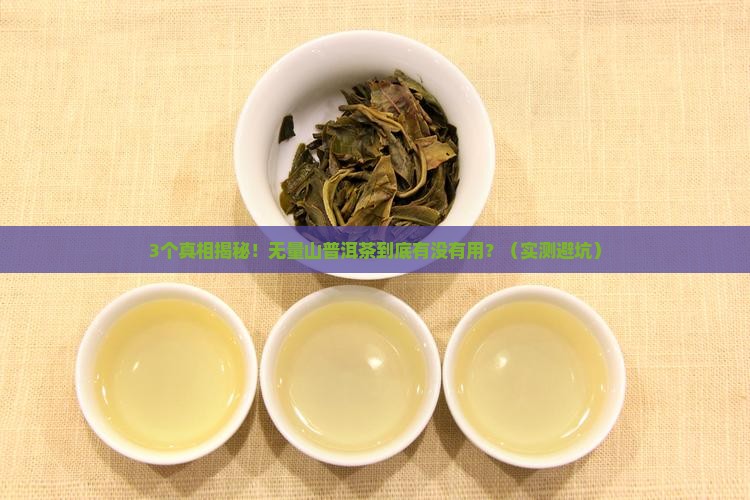 无量山普洱茶有用吗