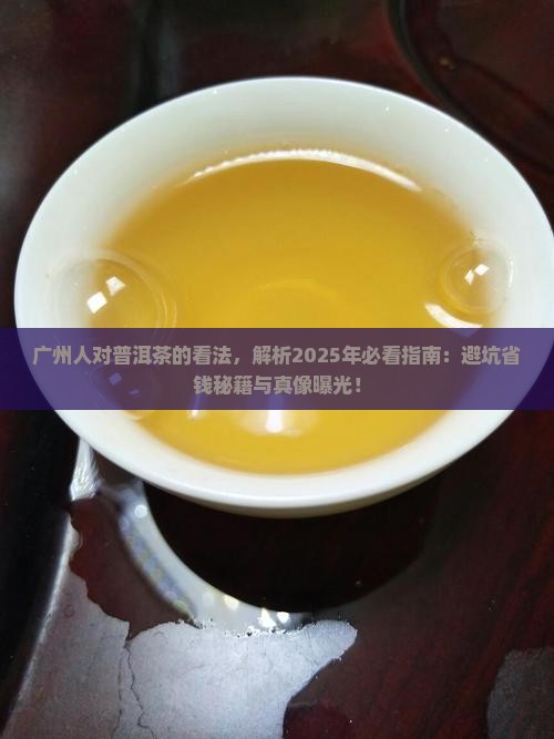 广州人对普洱茶的看法
