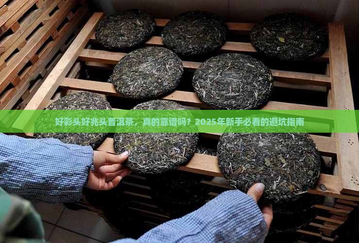 好彩头好兆头普洱茶