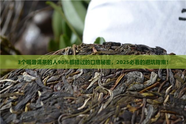 普洱茶的口感如何