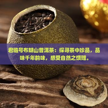 君临号布朗山普洱茶