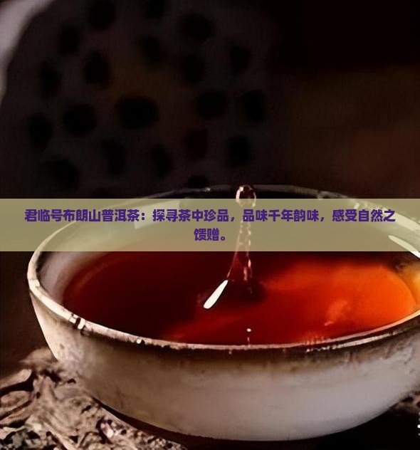 君临号布朗山普洱茶