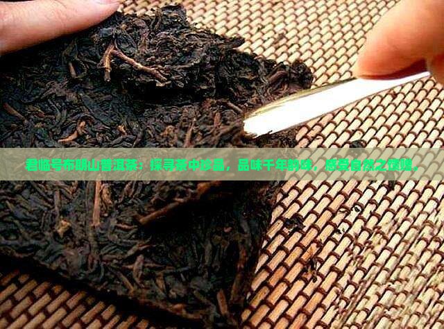 君临号布朗山普洱茶