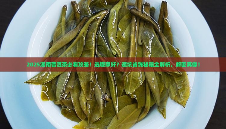 湖南普洱茶选哪家好
