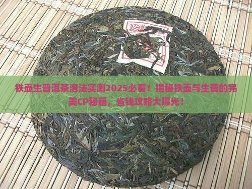 铁壶生普洱茶泡才好喝