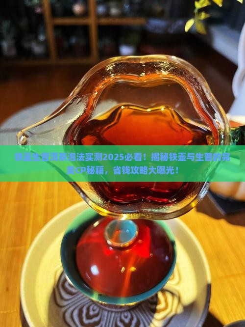 铁壶生普洱茶泡才好喝