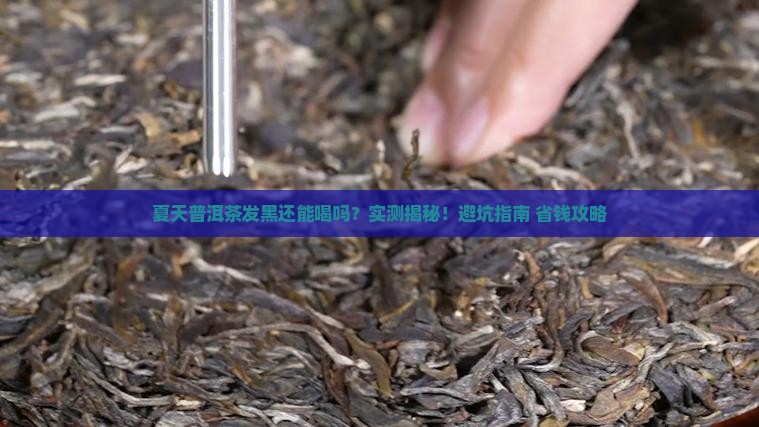 夏天普洱茶发黑吗还能喝吗