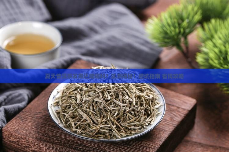夏天普洱茶发黑吗还能喝吗