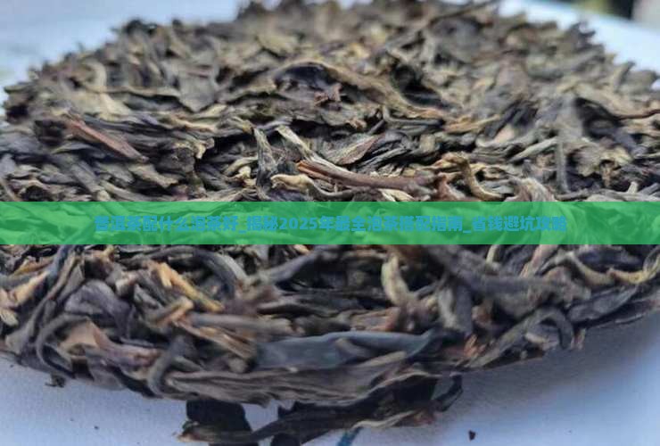 普洱茶配什么泡茶好