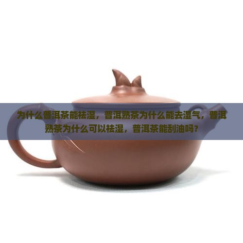 为什么普洱茶能祛湿