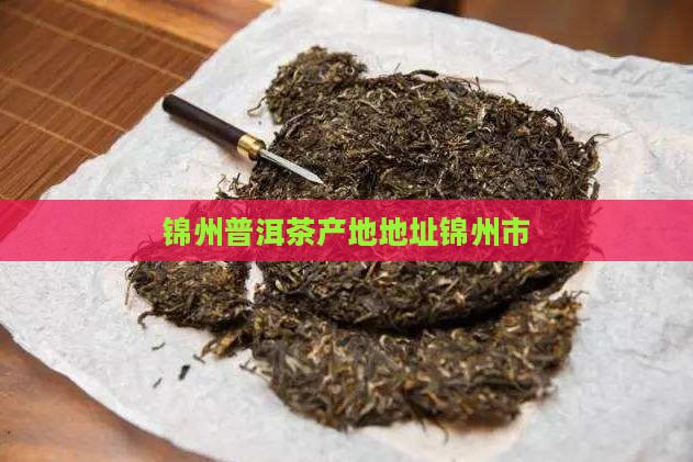 锦州市普洱茶产地地址