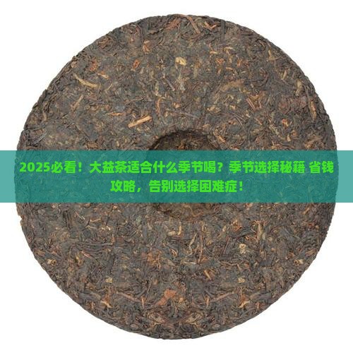 大益茶适合什么季节喝