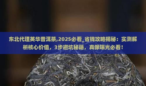 东北代理英华普洱茶