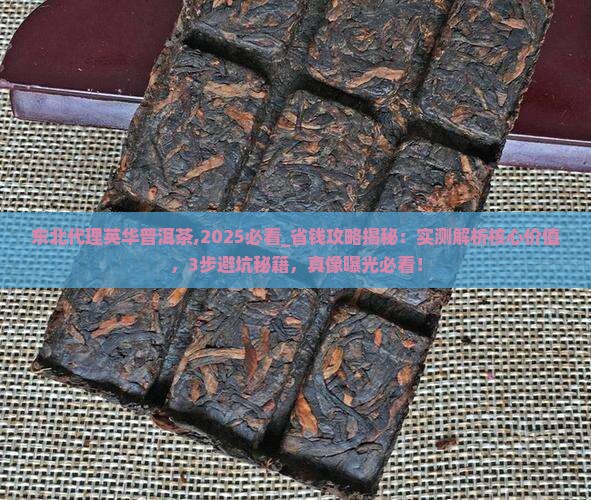 东北代理英华普洱茶