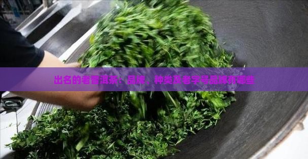出名的老普洱茶