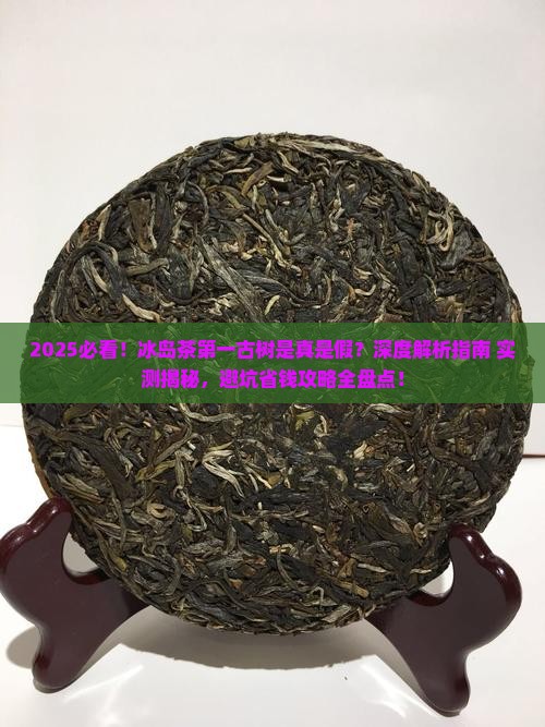 冰岛茶第一古树