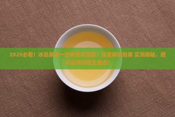 冰岛茶第一古树