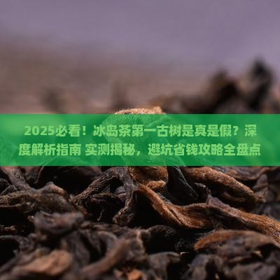 冰岛茶第一古树