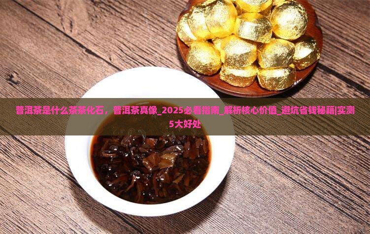 普洱茶是什么茶茶化石