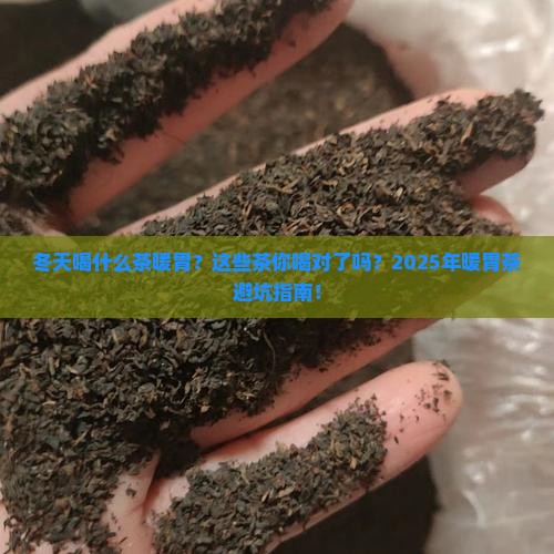 冬天喝什么茶暖胃