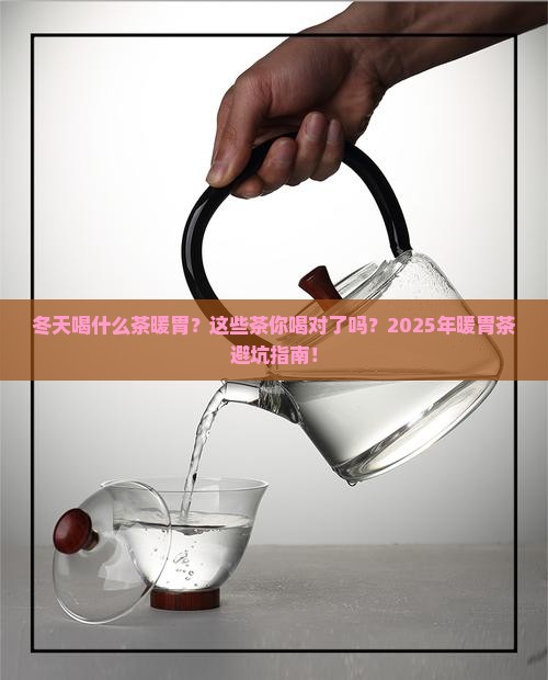冬天喝什么茶暖胃