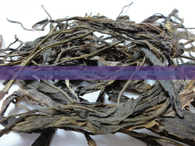 之言堂陈皮普洱茶