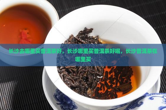 长沙去哪里买普洱茶好
