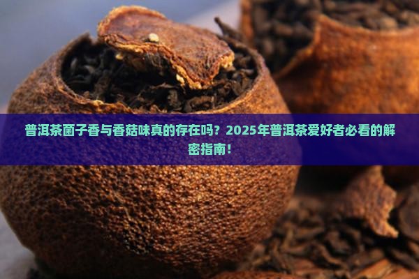 普洱茶菌子香与香菇味