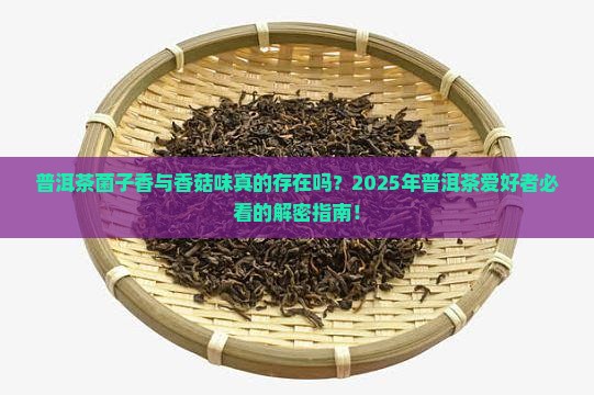 普洱茶菌子香与香菇味