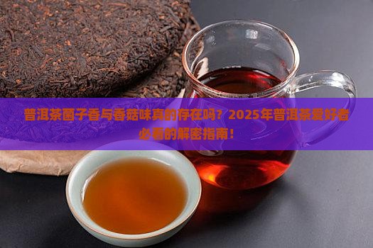 普洱茶菌子香与香菇味